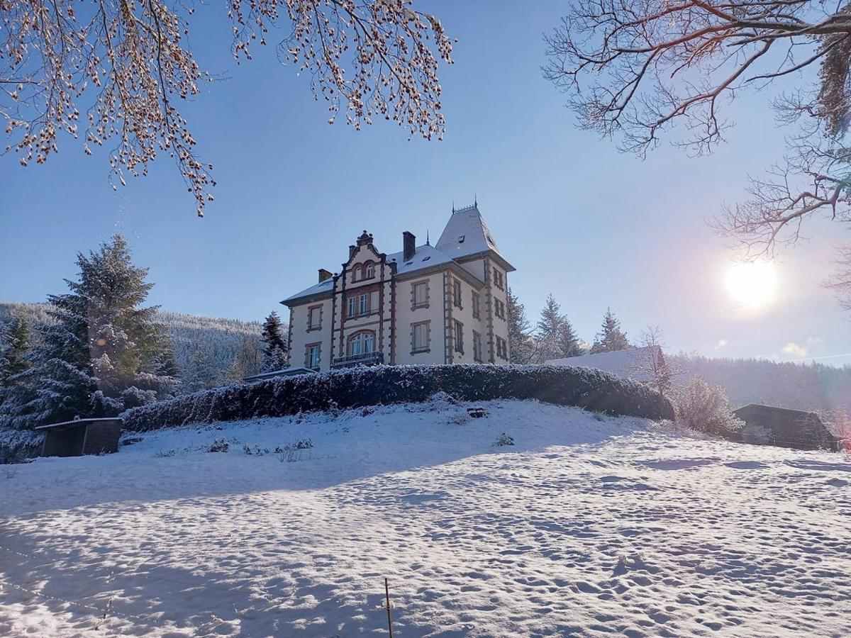 Chateau Robert Raon-l'Etape Ngoại thất bức ảnh