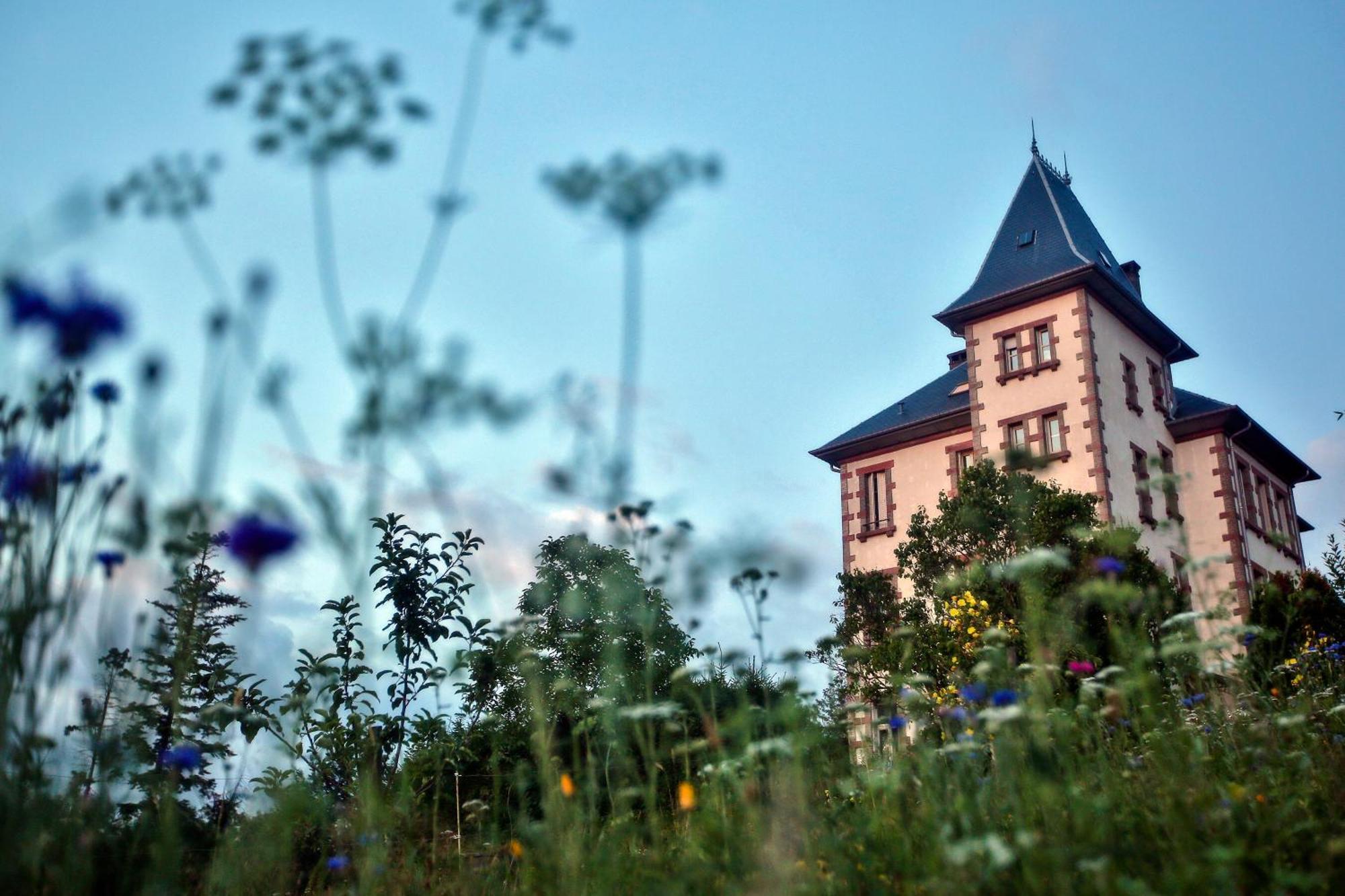 Chateau Robert Raon-l'Etape Ngoại thất bức ảnh